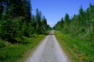 Along former Skreiabanen Railroad, now bicycle path, in summer.