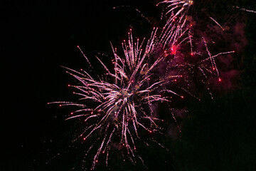 Splashes of a beautiful festive salute, pink, with a red haze, against the background of the night sky