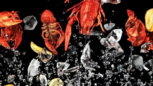 Boiled crayfish with lemon and ice rise up and fall down. On a black background. Filmed on a high-speed camera at 1000 fps.
