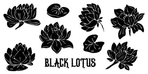 Black silhouettes of lotus flowers isolated on white background. Hand drawn vector illustration for wedding invitations, greeting cards and witchcraft