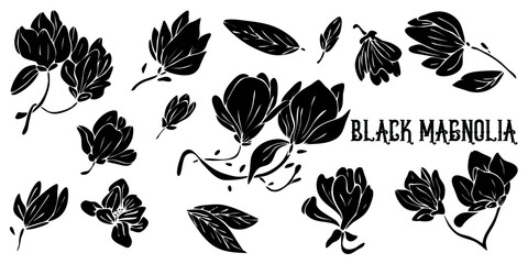 Black silhouettes of magnolia flowers isolated on white background. Hand drawn vector illustration for wedding invitations, greeting cards and witchcraft