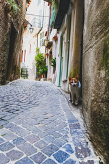 A look at the small streets of Rocchetta Nervina, a small town in the Ligurian hinterland, Italy, cat, ancient, architecture, blue, building, Building Exterior, city, cityscape, exterior, historic