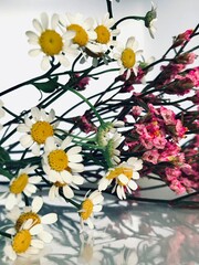 Summer flowers on glass table