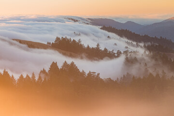 Mount Tamalpais Marin County California Fog