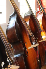 String Instruments Galore