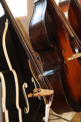 String Instruments Galore