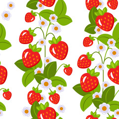 Strawberry seamless pattern