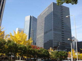 Fototapeta premium building