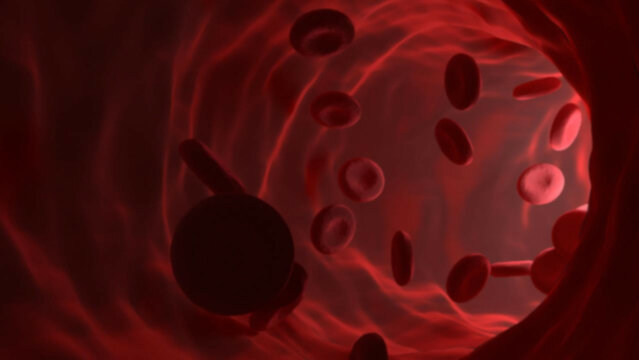 3D rendering illustration of some red blood cells in a blood vessel