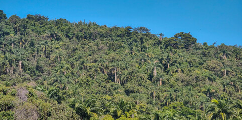 Fototapeta na wymiar landscape horizon hill mountain quarry clear blue sky forest vegetation tree leaves nature close