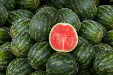 Many big sweet green watermelons and one cut watermelon.Young green watermelon.Watermelon slice.Many big sweet green watermelons and one cut watermelon.