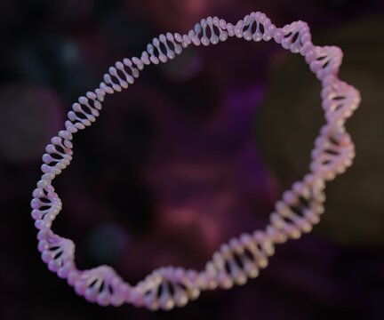A plasmid is a small circular DNA molecule found in bacteria and some other microscopic organisms 3d rendering