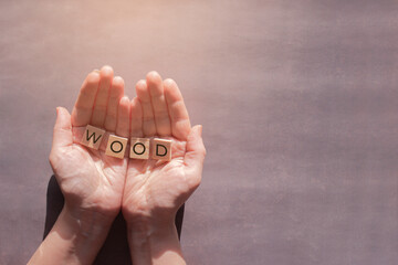 female hands hold wooden tiles with word Wood on grey background