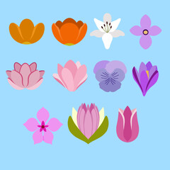 Set of Flat Flower Illustration