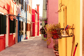 Colorful empty street in Burano, Venice, Italy, yellow, pink and blue houses, succulent plant