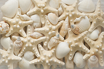 Marine wallpaper.Starfish and sea shells in pastel beige colors. Summer wallpaper in a marine style. Background in a marine style in white and beige tones.nautical decor.