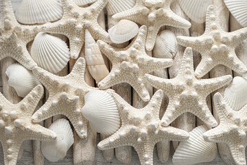 Texture of starfish and driftwood sticks.nautical decor.Starfish and sea shells in pastel beige colors. Summer wallpaper in a marine style. Nautical beige starfish on white driftwood sticks close-up.