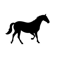 Fototapeta premium graphic, vector silhouette of horse walking