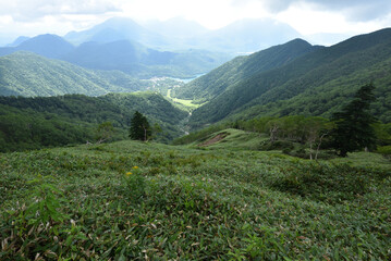 Mountain climbing in summer season