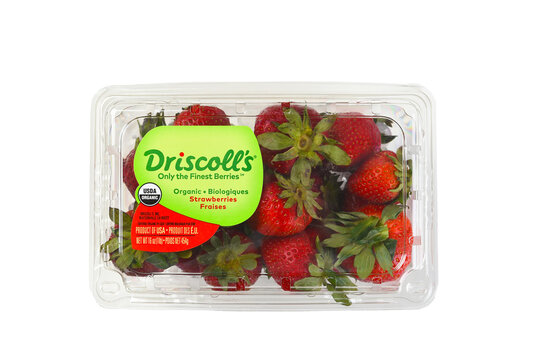 IRVINE, CALIFORNIA - 23 JUN 2022: A 16 ounce package of Driscolls Organic Strawberries.