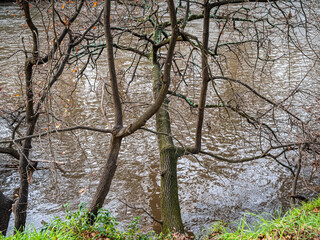 Fototapeta premium Winter Over The River