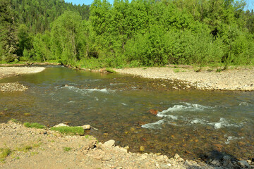 A small turbulent river with rocky banks flowing through a forest surrounded by mountains on a clear summer day.