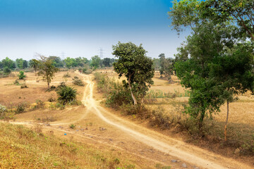 A village road in Rural India , Baranti village - West Bengal, India