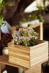 bouquet of flowers in a box