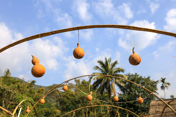 Hanging bottle gourds (calabash) as decorations at Bamboo bridge across Mang River at Bo Kluea,Nan...