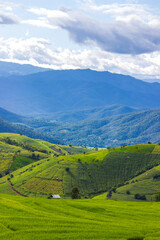 Obraz premium Beautiful scenery of Ban Pa Pong Piang,Mae Chaem,Chiang Mai province,Northern Thailand.