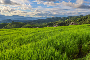 Beautiful scenery of Ban Pa Pong Piang,Mae Chaem,Chiang Mai province,Northern Thailand.