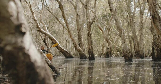 Beautiful asian woman paddling a kayak to explore the tropical forest. Young female traveler in yellow canoe boat rowing leisurely paddle along calm peat swamp lake. Nature tourism activity on holiday