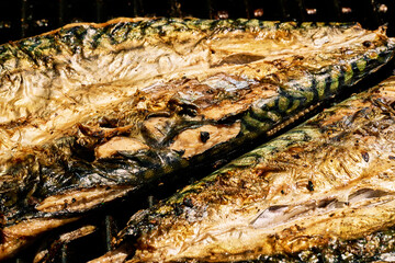 Barbecue of verdel or mackerel fish made on the grill with spices