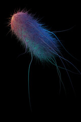 Coliform bacteria, E coli 3d rendering medical science illustration, bacteriology Escherichia species - obrazy, fototapety, plakaty