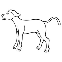 dog sketch vector illustration