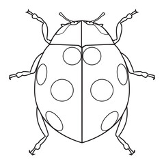 ladybugs line vector illustration