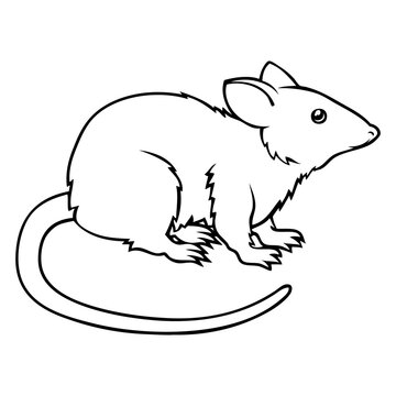 mouse line vector illustration