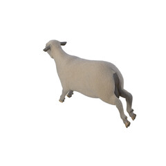 Sheep photorealistic in different poses isolated on white background. 3d rendering-illustration.