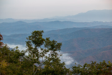 Green trees with mountain ranges and morning mist in the background.(selective focus) at Doi Samer Dao,Sri Nan National Park,Nan province,Thaiand.