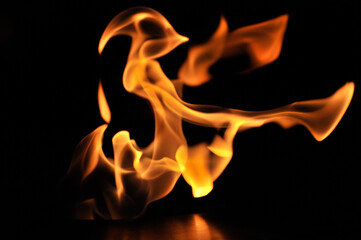 closeup of fire in the dark