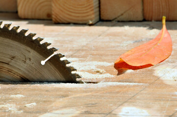 circular saw on wood
