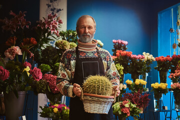 Shot of colorful flower market and its elderly owner holding cactus looking at camera.