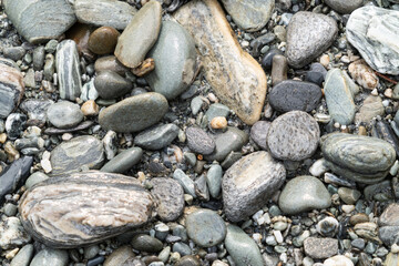 pebbles on the beach