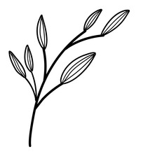 Leaves Line Art