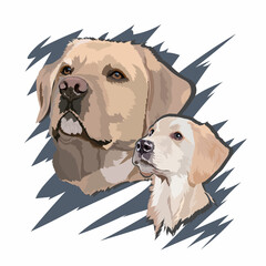 Portrait of a puppy and an adult labrador retriever. Vector illustration