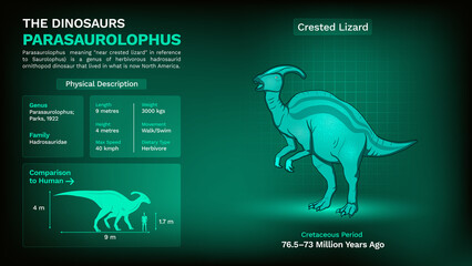 Description and Physical Characteristics of Parasaurolophus - Vector Illustration © BonkersArt
