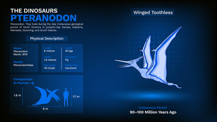 Description and Physical Characteristics of Pteranodon - Vector Illustration © BonkersArt
