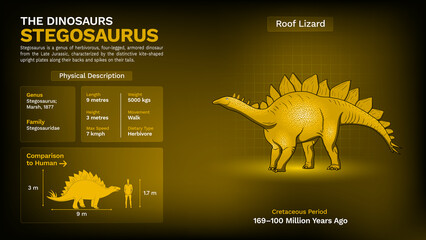 Description and Physical Characteristics of Stegosaurus - Vector Illustration © BonkersArt