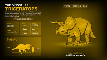 Description and Physical Characteristics of Triceratops - Vector Illustration © BonkersArt