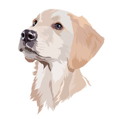 Labrador retriever puppy. Dog portrait. Vector illustration